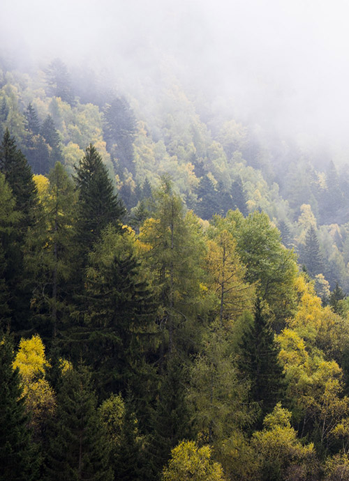 Prodotti sostenibili. Con il massimo rispetto per il nostro ambiente.